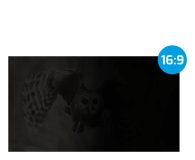 NATEC Filtr prywatyzujący RODO OWL 23,8" 16:9 NFP-1477 - 1370616 - zdjęcie 3